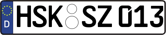 HSK-SZ013