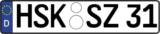 HSK-SZ31