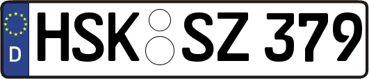 HSK-SZ379