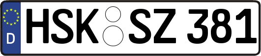 HSK-SZ381
