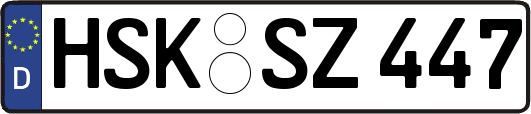 HSK-SZ447
