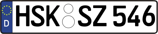 HSK-SZ546