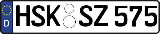 HSK-SZ575