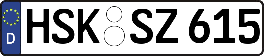 HSK-SZ615