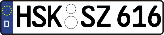 HSK-SZ616