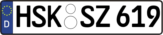 HSK-SZ619