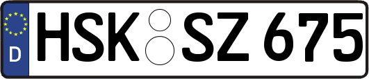 HSK-SZ675