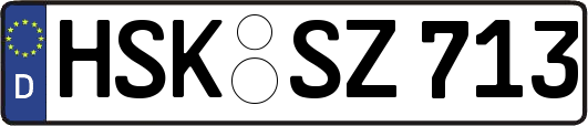 HSK-SZ713