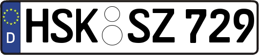 HSK-SZ729