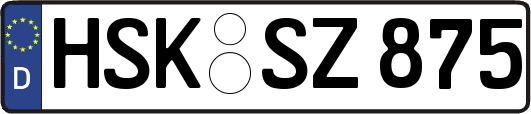 HSK-SZ875