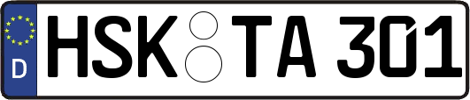 HSK-TA301