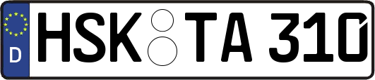 HSK-TA310