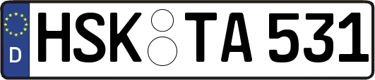 HSK-TA531
