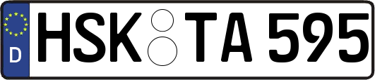 HSK-TA595