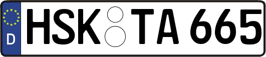 HSK-TA665
