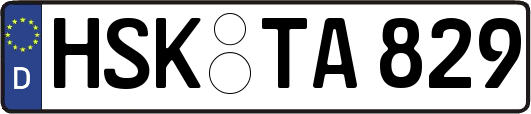 HSK-TA829