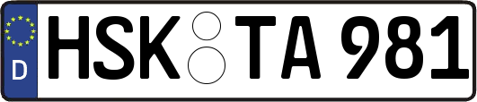 HSK-TA981