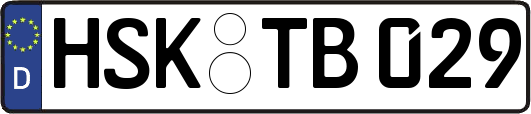 HSK-TB029