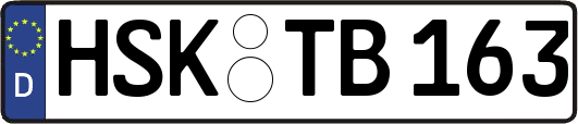 HSK-TB163