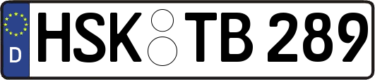 HSK-TB289