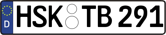 HSK-TB291