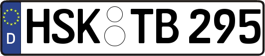 HSK-TB295