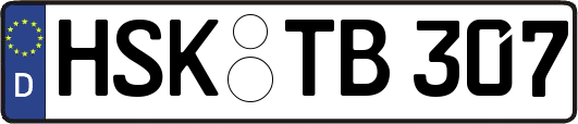 HSK-TB307