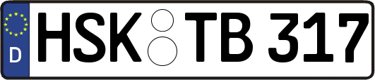 HSK-TB317