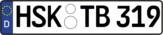 HSK-TB319