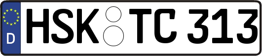 HSK-TC313