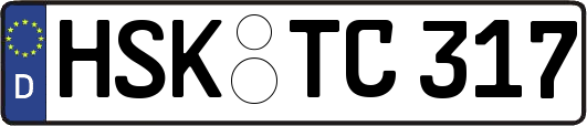 HSK-TC317