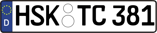 HSK-TC381