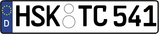 HSK-TC541