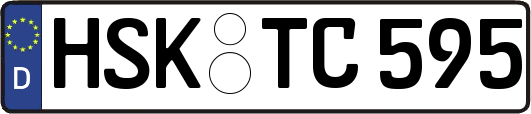 HSK-TC595
