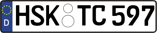 HSK-TC597