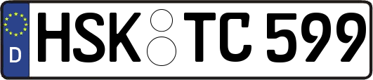 HSK-TC599