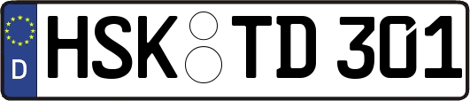 HSK-TD301