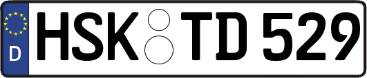 HSK-TD529