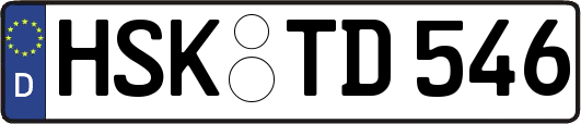 HSK-TD546