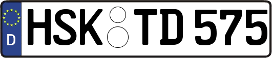 HSK-TD575