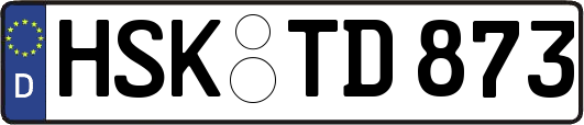 HSK-TD873