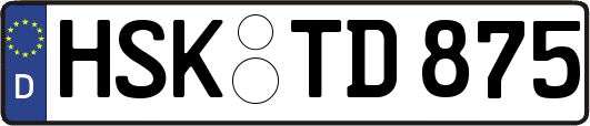 HSK-TD875