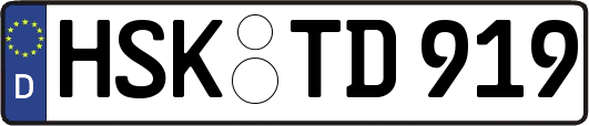HSK-TD919