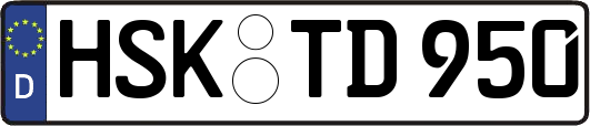 HSK-TD950