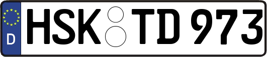 HSK-TD973