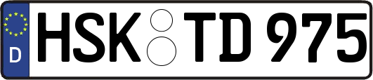 HSK-TD975
