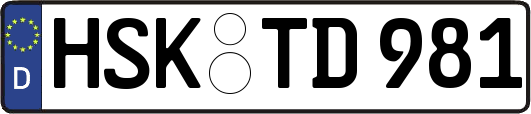 HSK-TD981