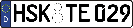 HSK-TE029