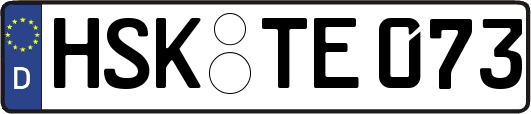 HSK-TE073