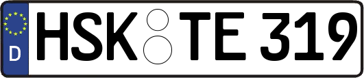 HSK-TE319
